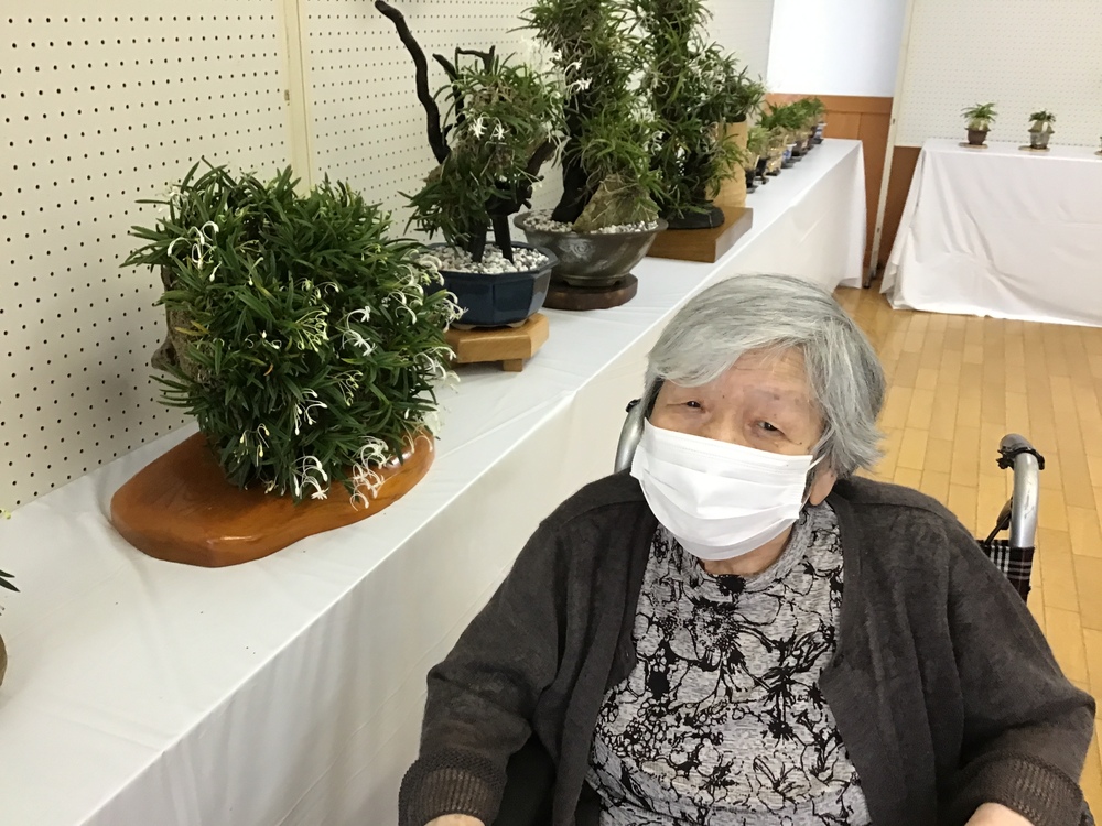 風蘭