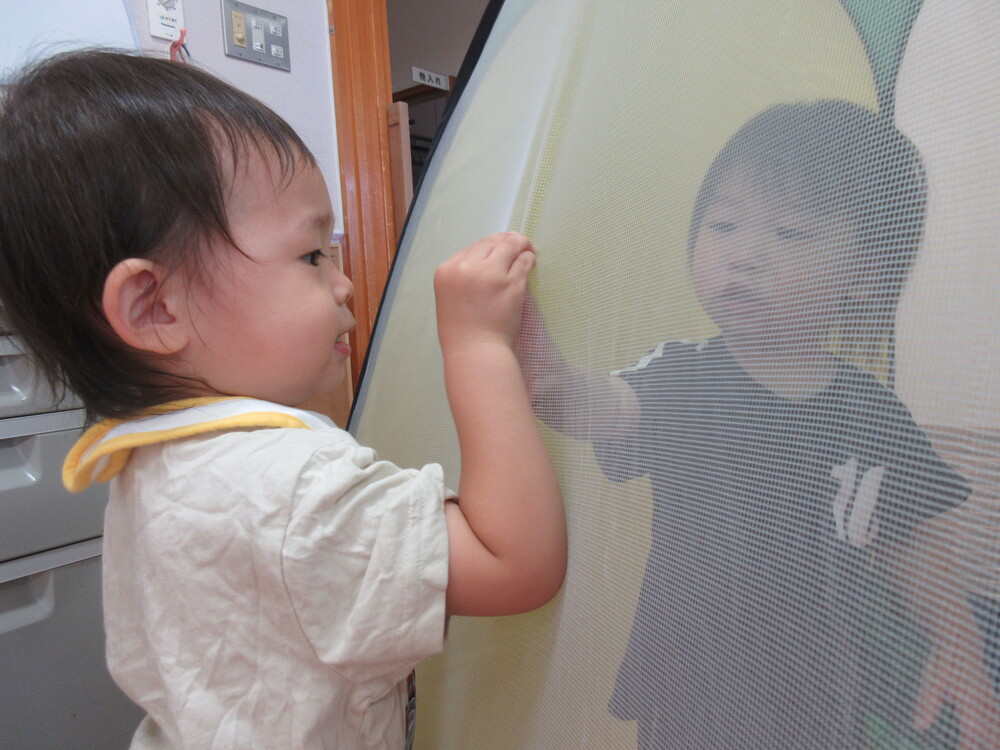 ボール遊びをしている様子