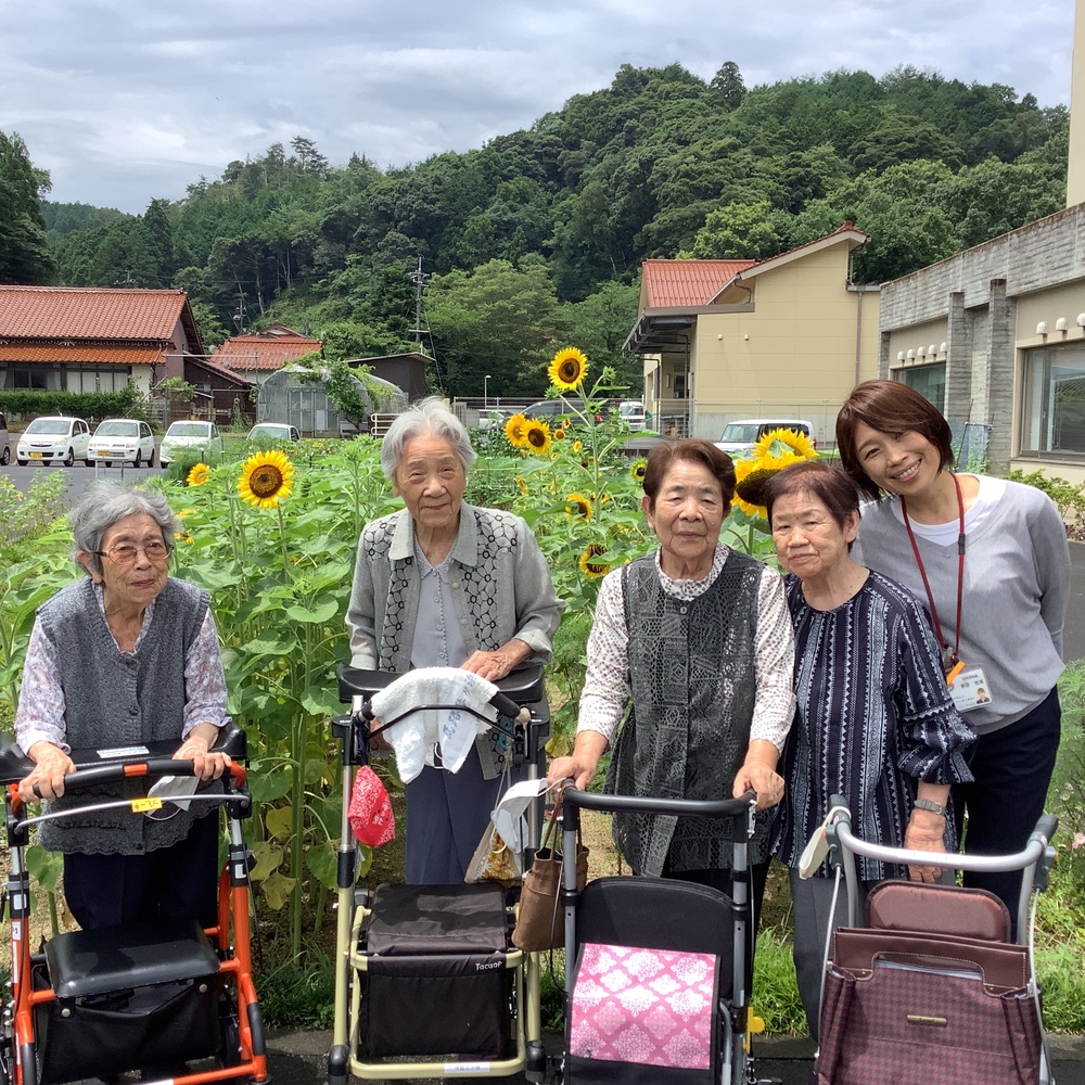 ひまわり