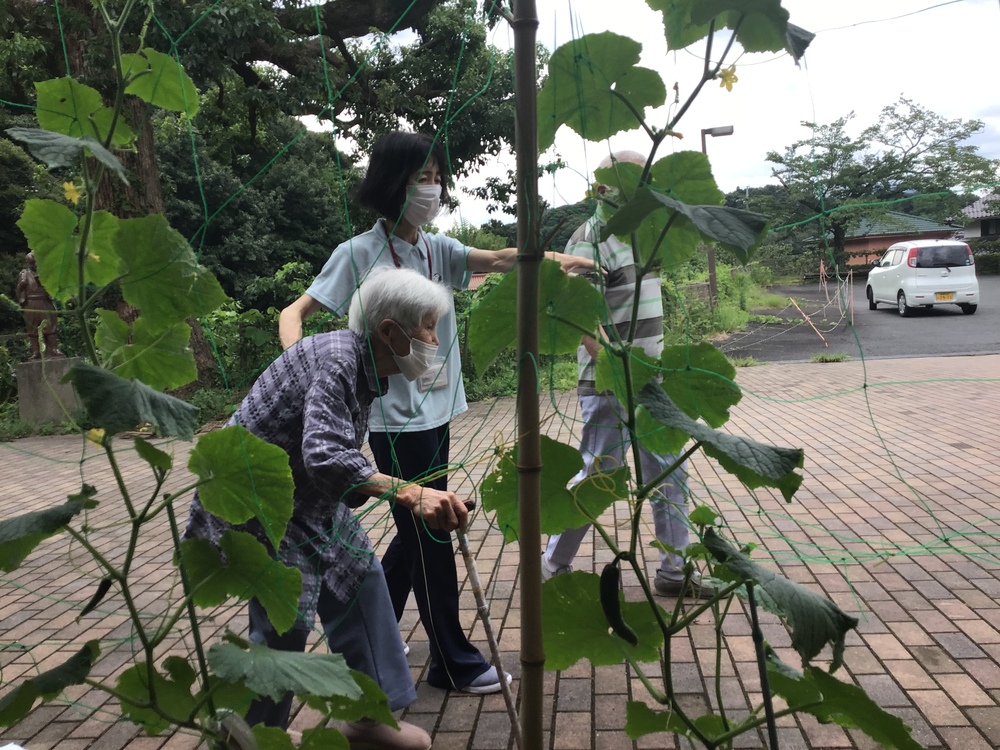 野菜