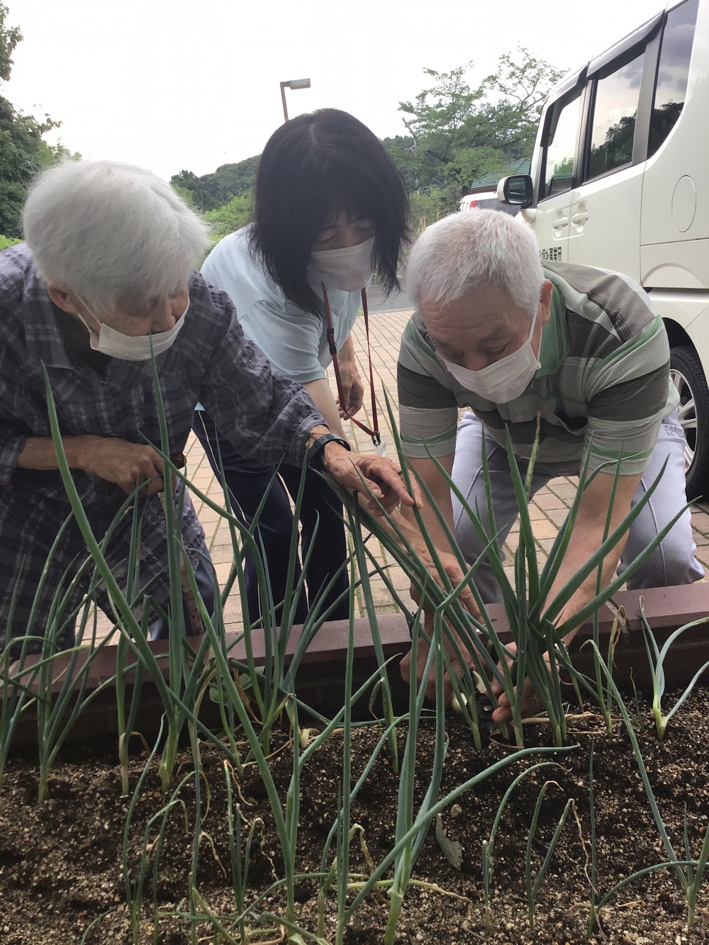 野菜