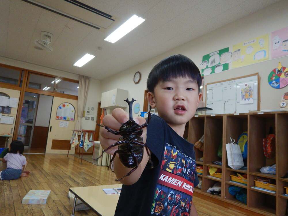 かぶとむしを観察している様子 (2)