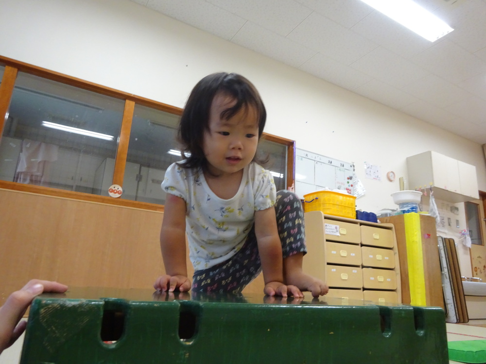 こうぎだいのぼりをする様子 (3)