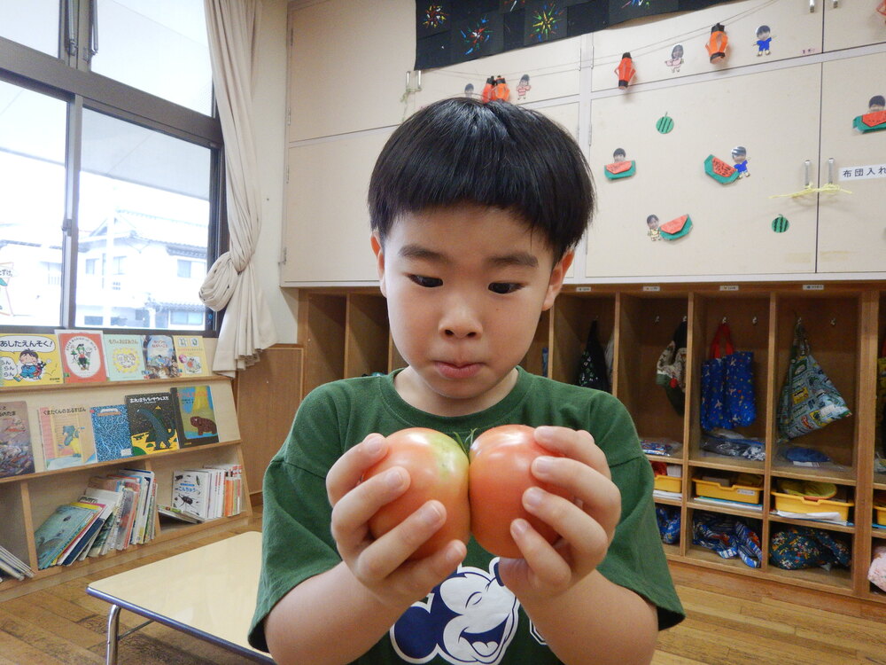 野菜収穫 (2)