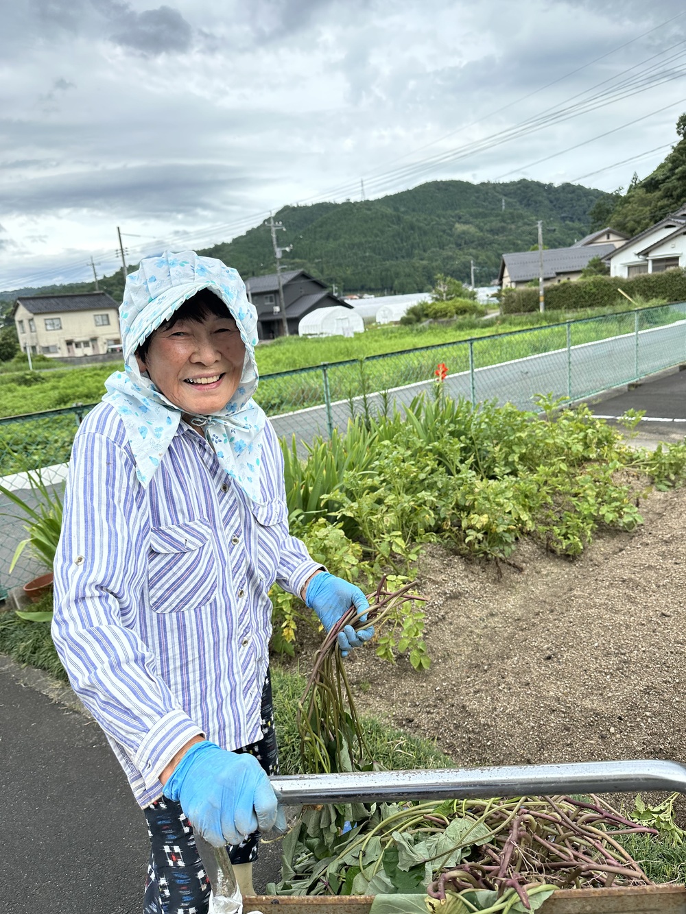 hさん