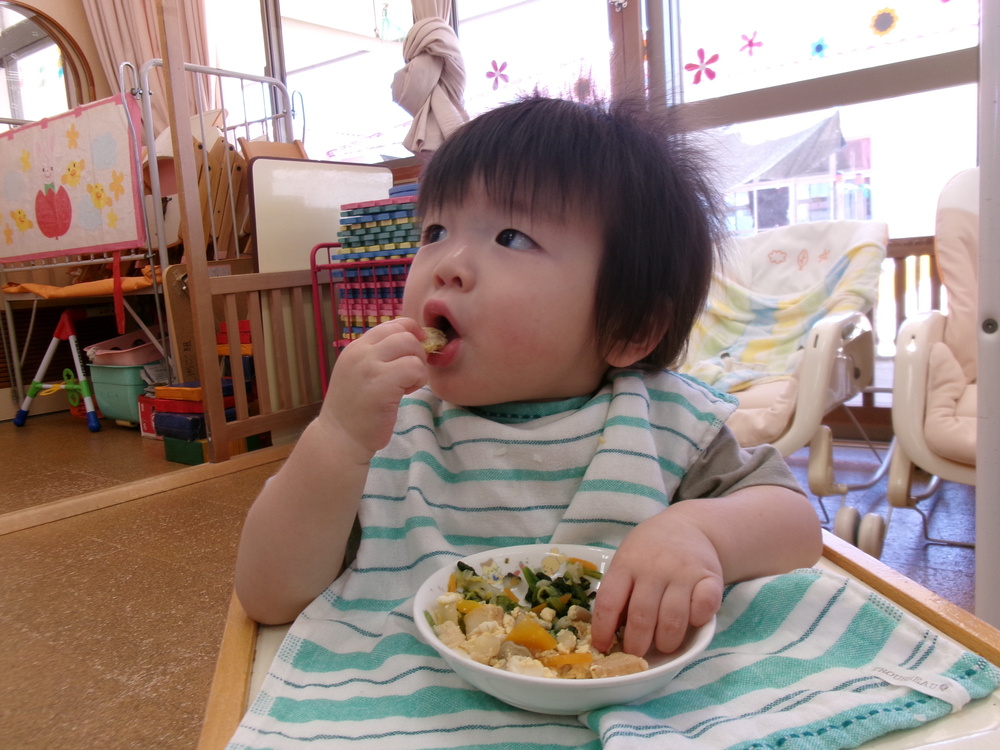 ご飯の様子