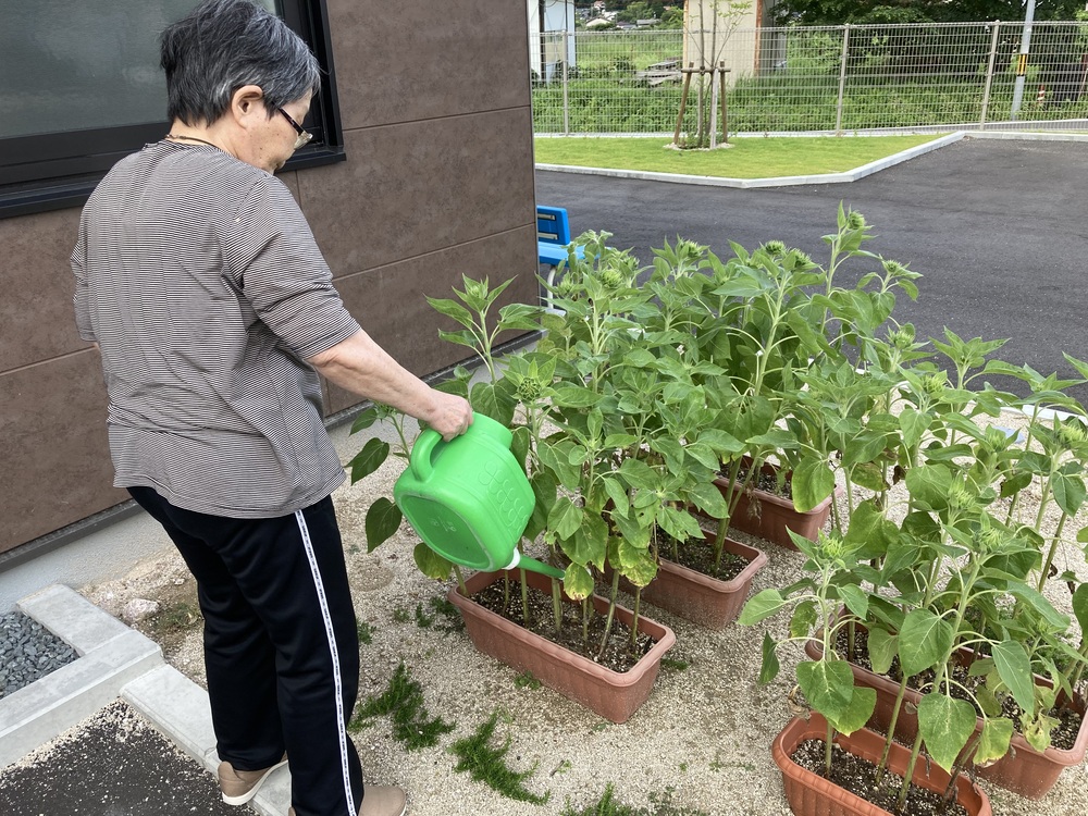水やり