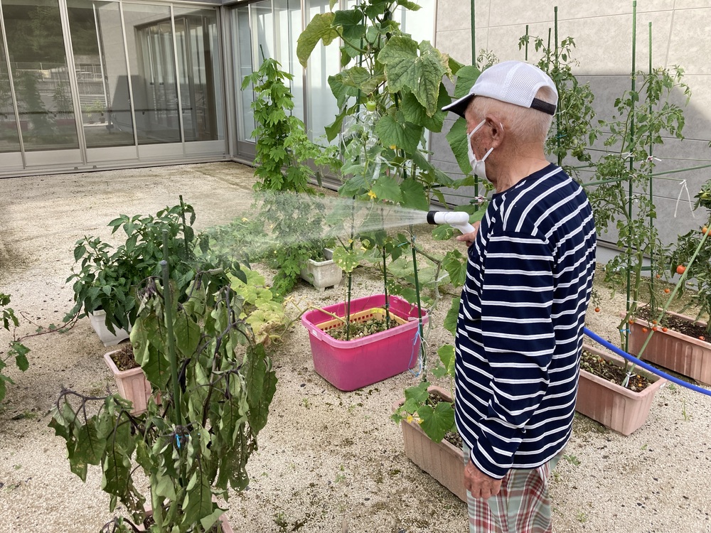 水やり1