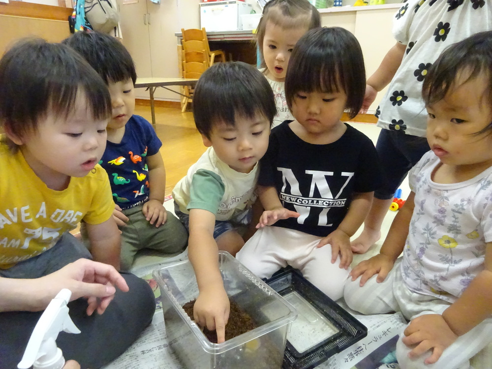 カブトムシのお世話をする子どもたち