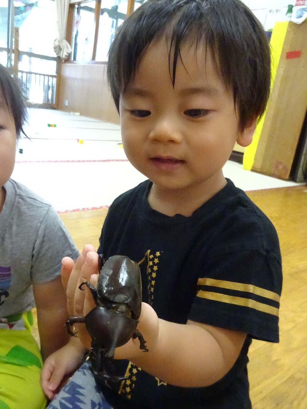 カブトムシのおせわ (3)