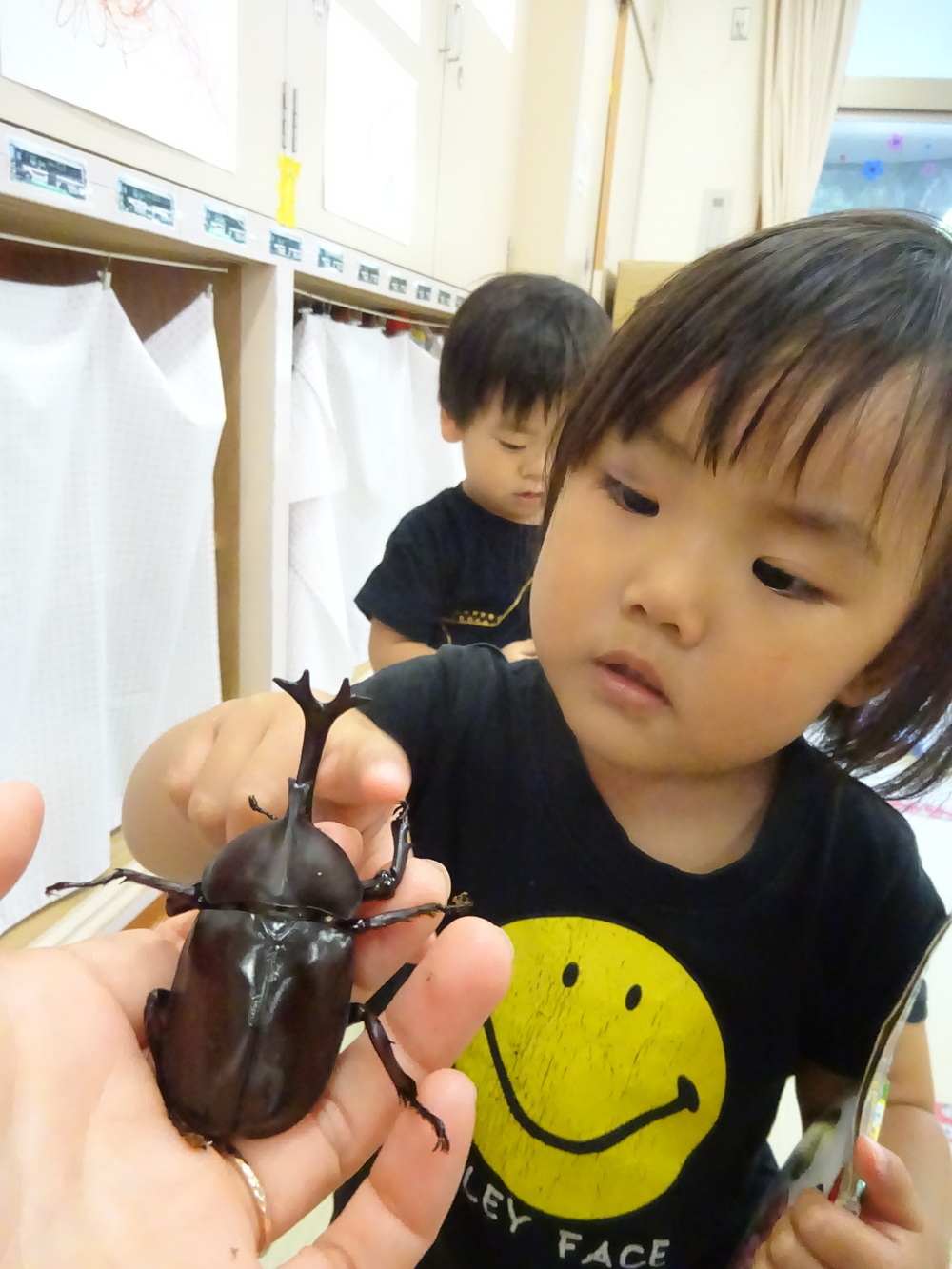 カブトムシのおせわ (4)