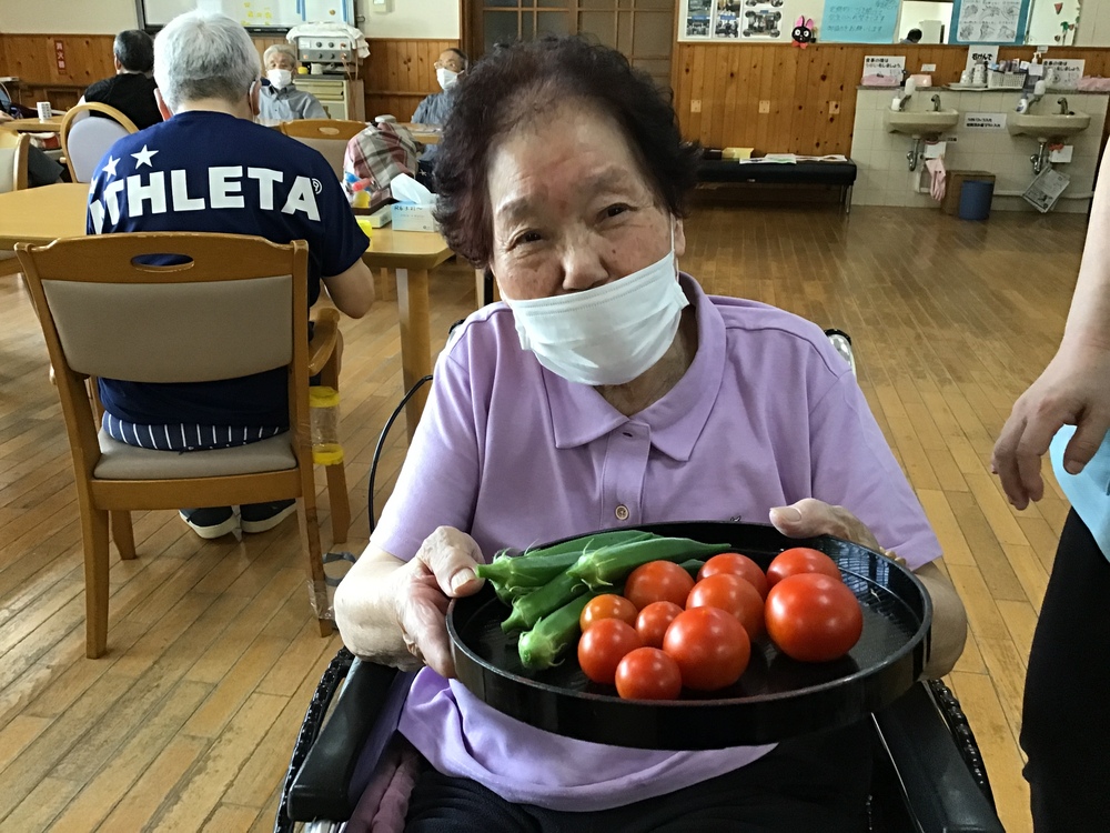 夏野菜