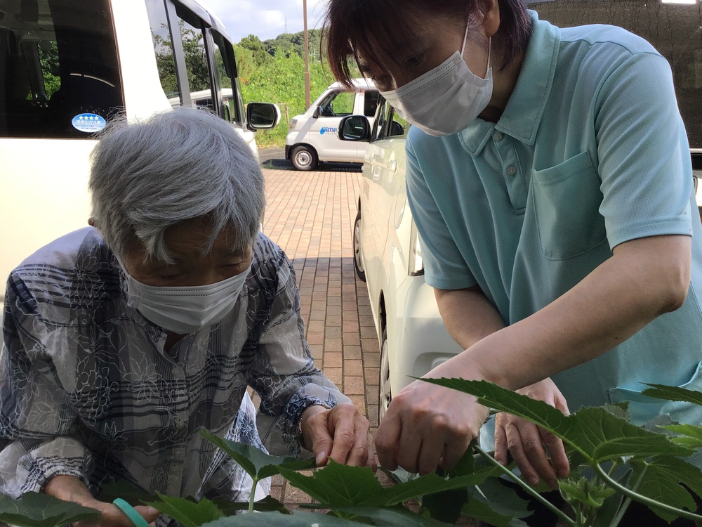 野菜