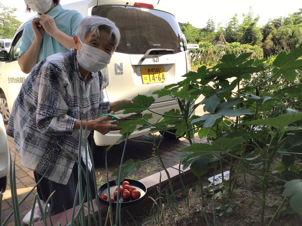 野菜