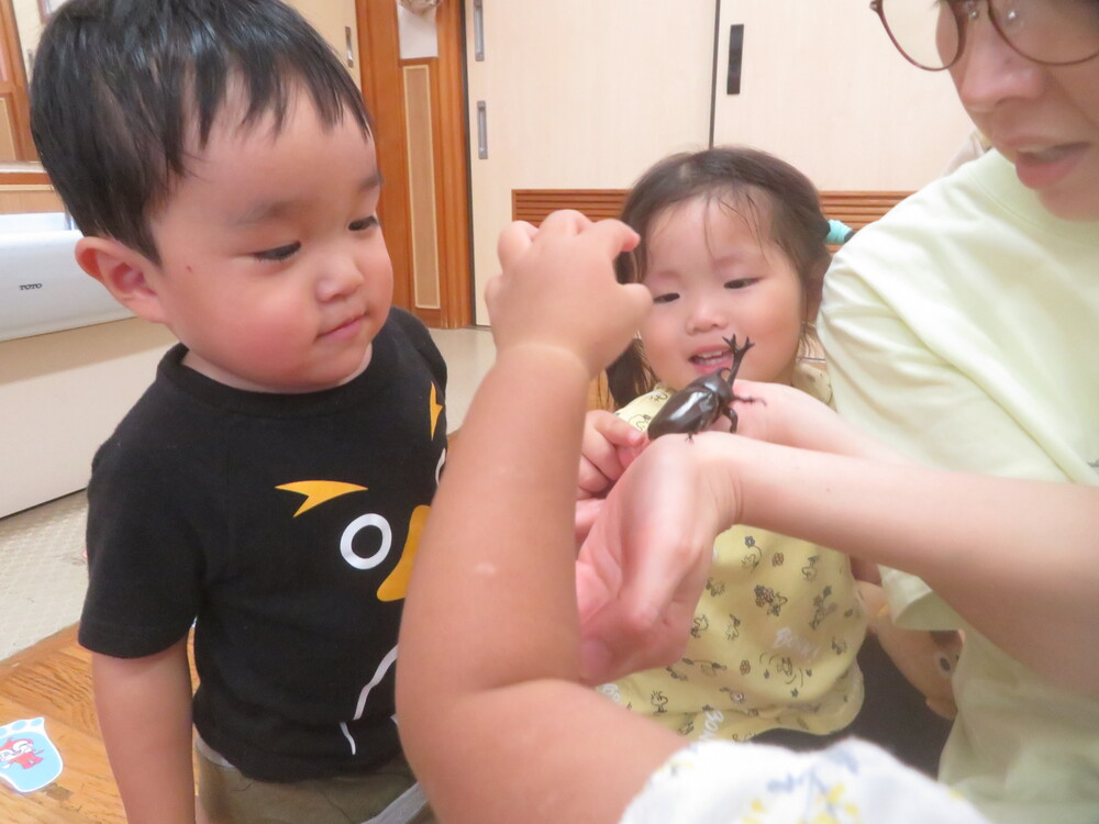 プールの様子 (6)