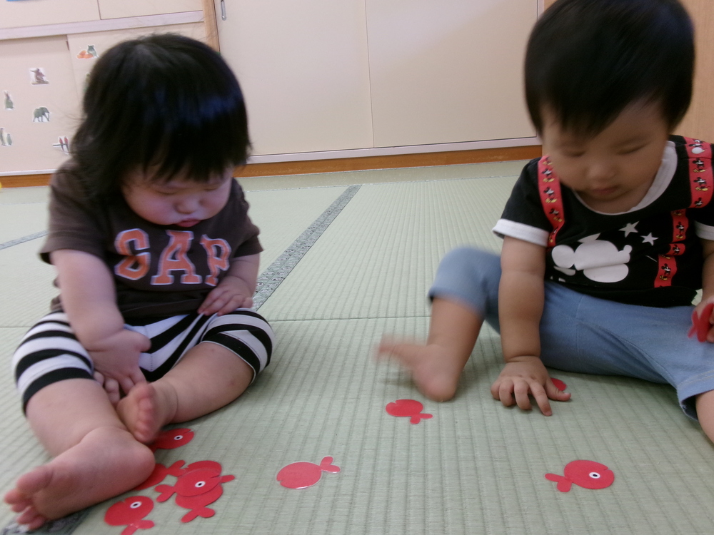金魚で遊ぶ