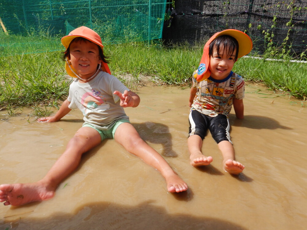 水たまりで遊んでいる様子