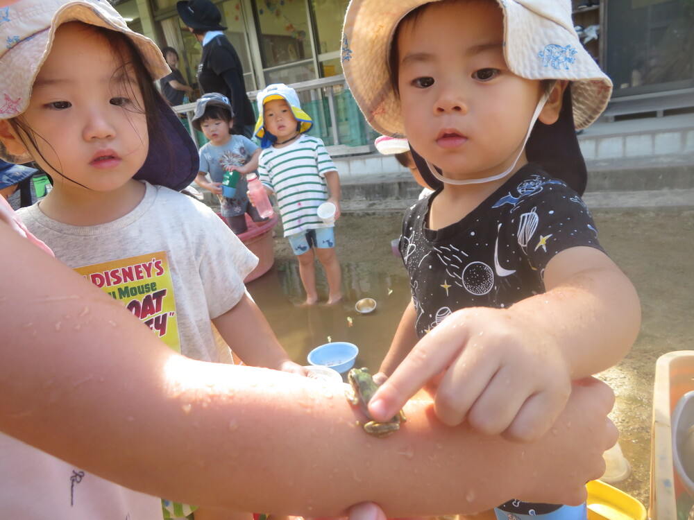 どろんこあそび (2)