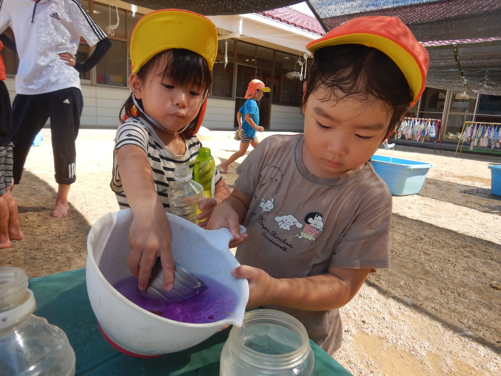 朝顔で色水作り