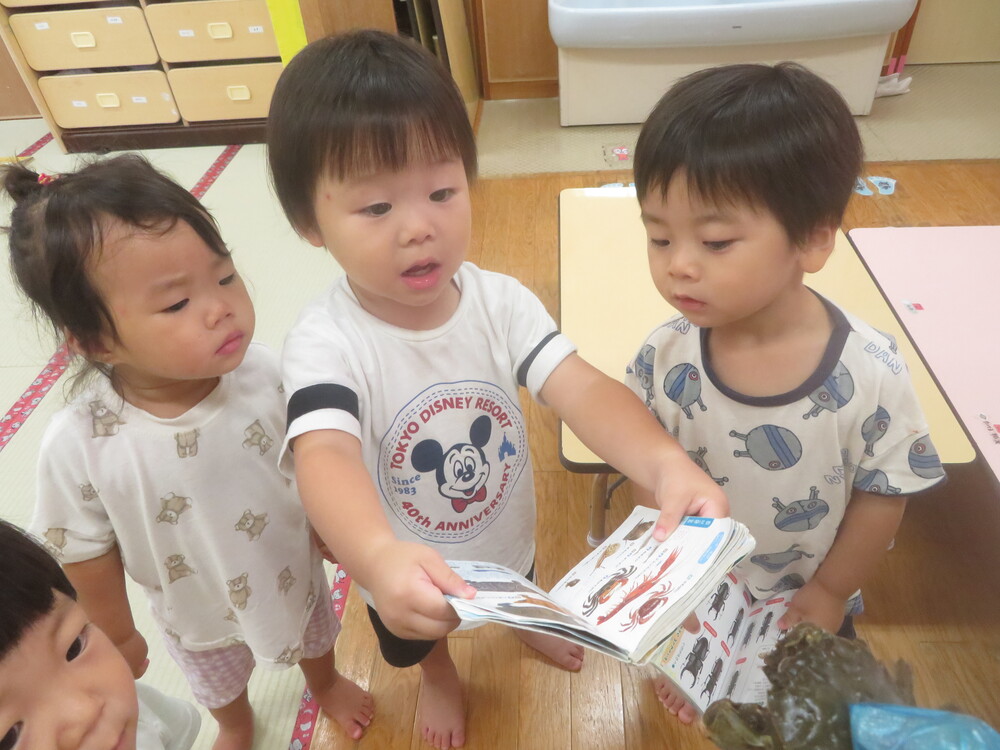 蟹を観察する子どもたち