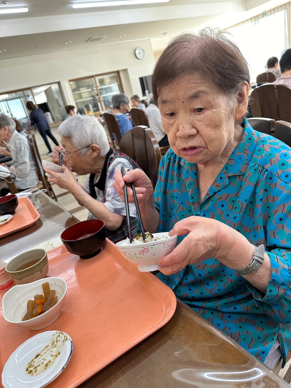 海苔5