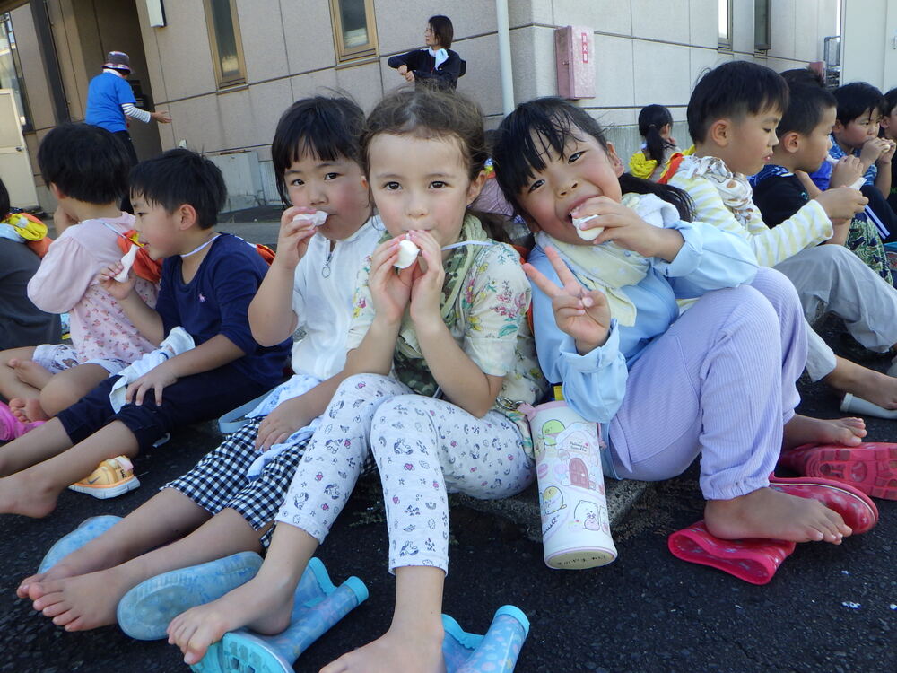 稲刈りの様子