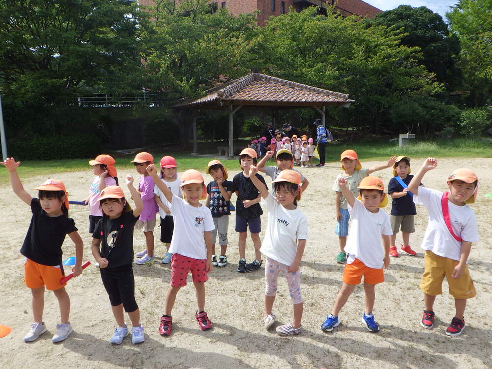 散歩の様子