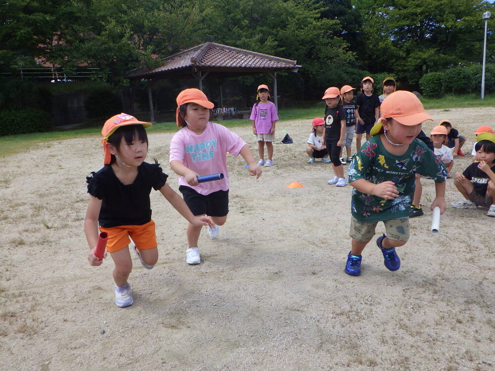 散歩の様子