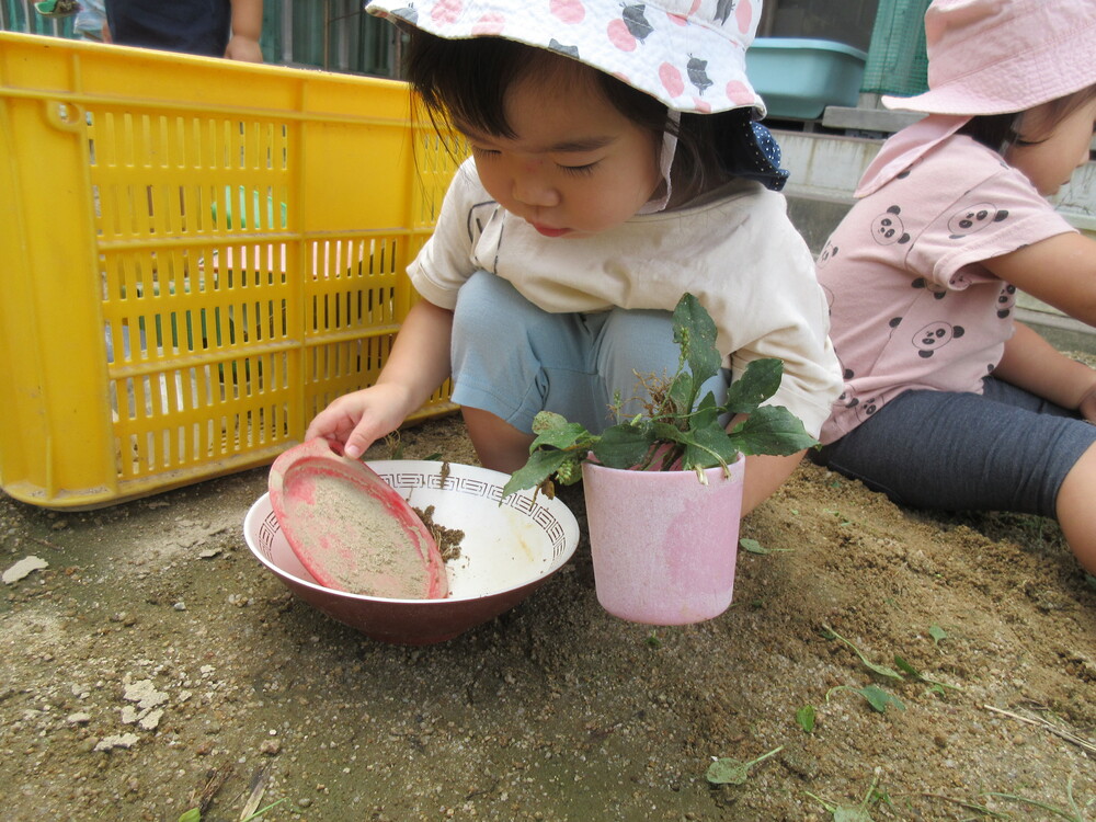 園庭遊びの様子