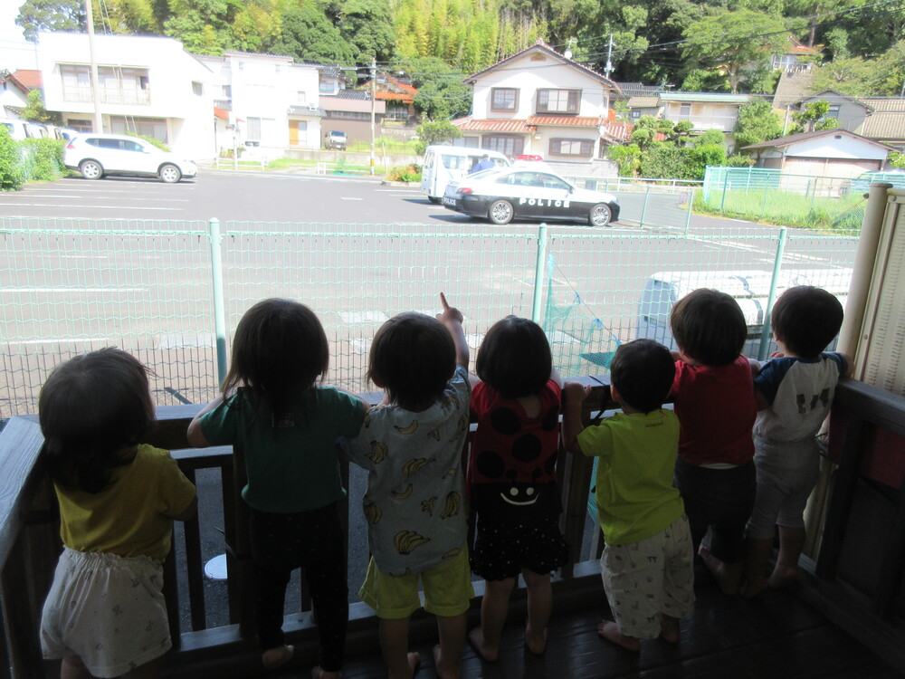 パトカーを見ている様子