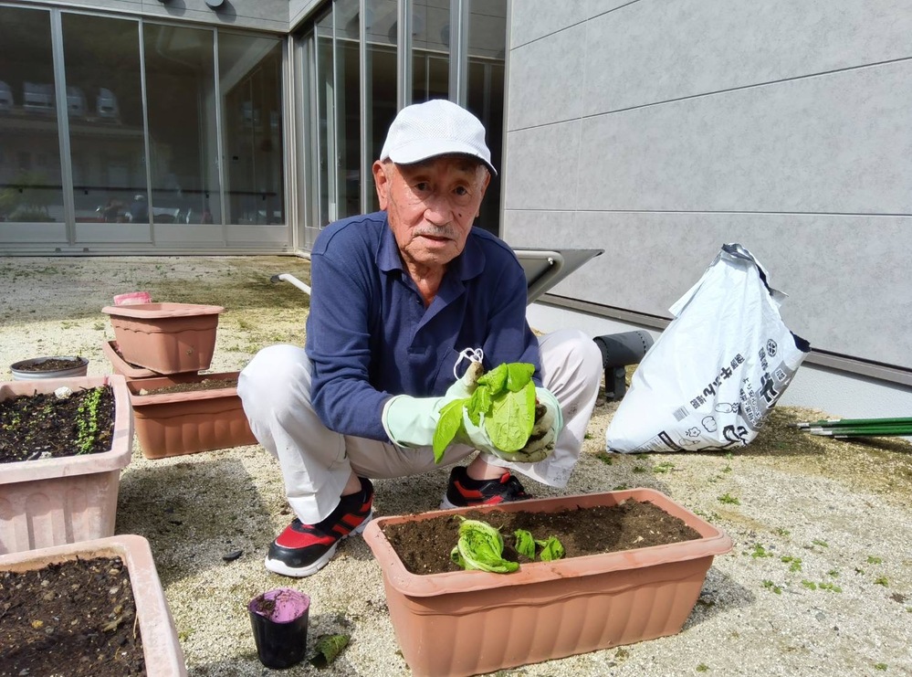 Uさん白菜苗植え1