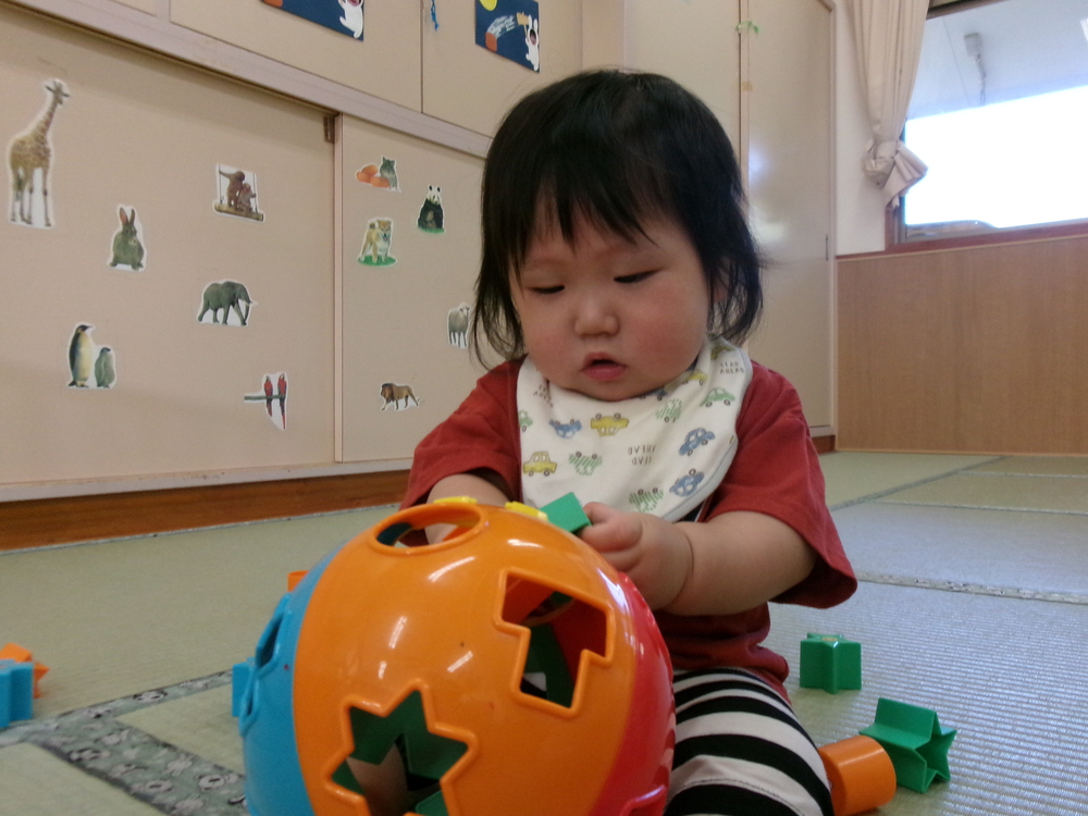 ブロックを入れる