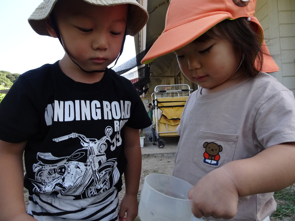 虫を見つける子ども