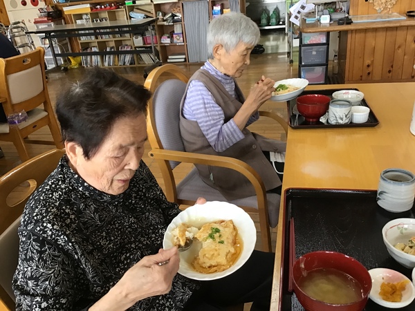 お食事中です