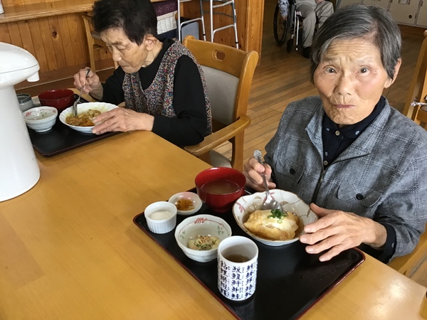 お食事中です