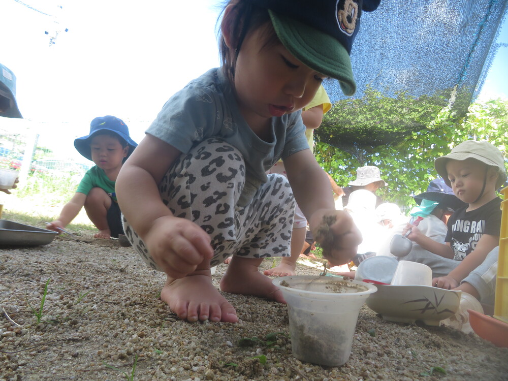 合同で遊ぶ様子 (1)