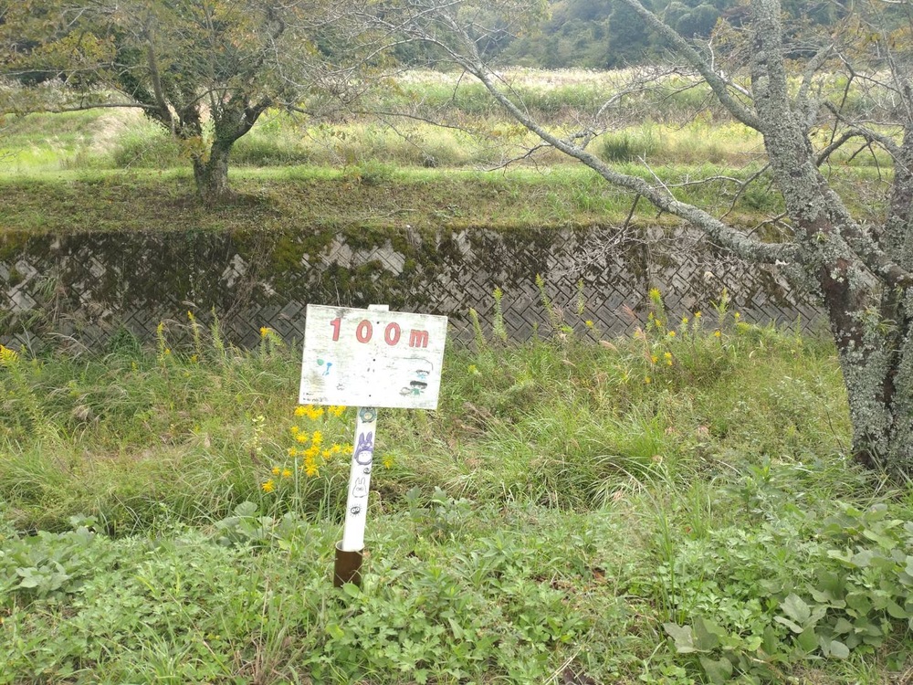屋外訓練