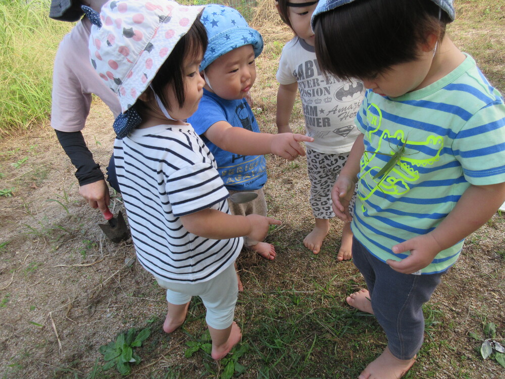 園庭遊びの様子 (3)