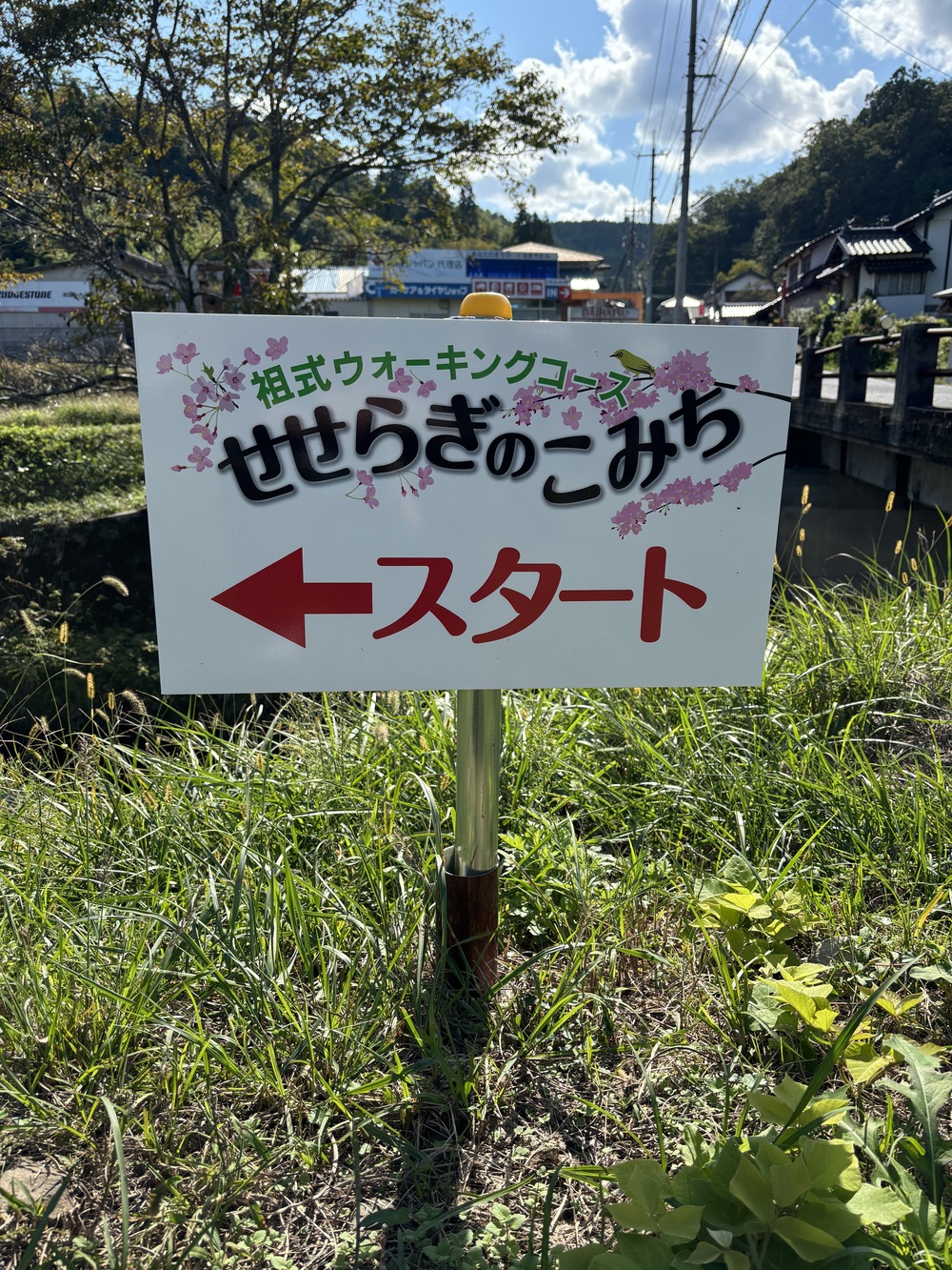 活動