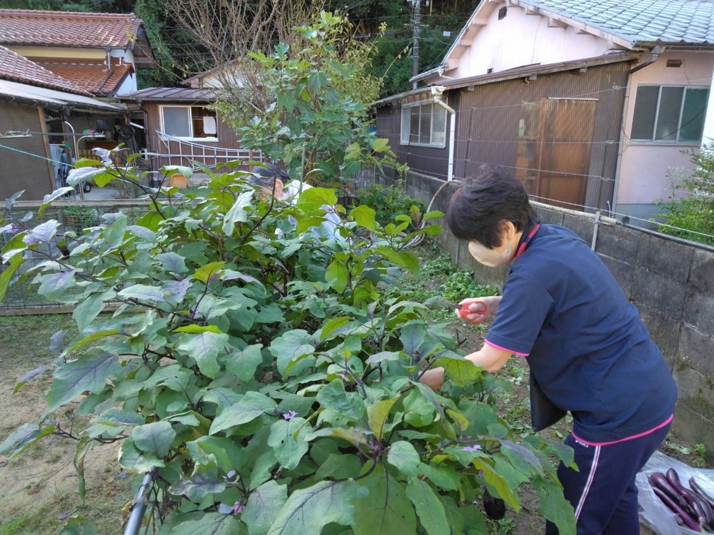 やきなす4