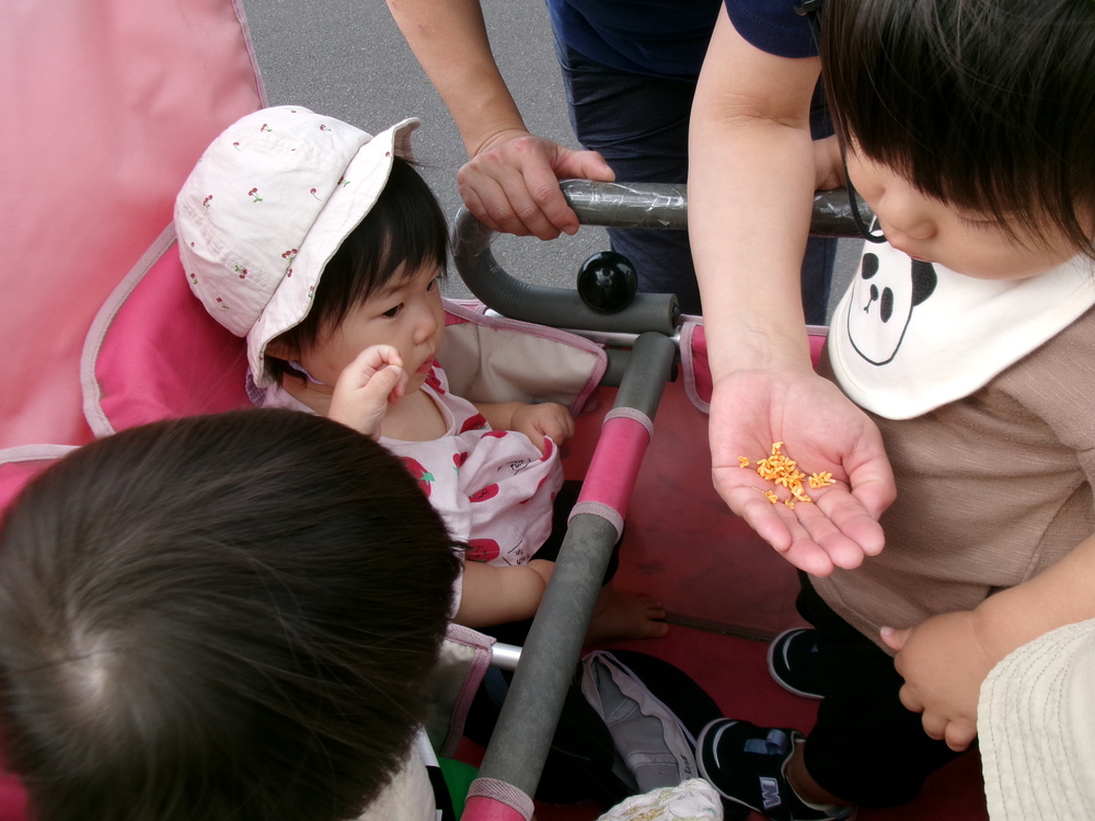 金木製を見る子ども