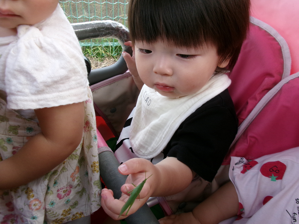 バッタを触る子ども