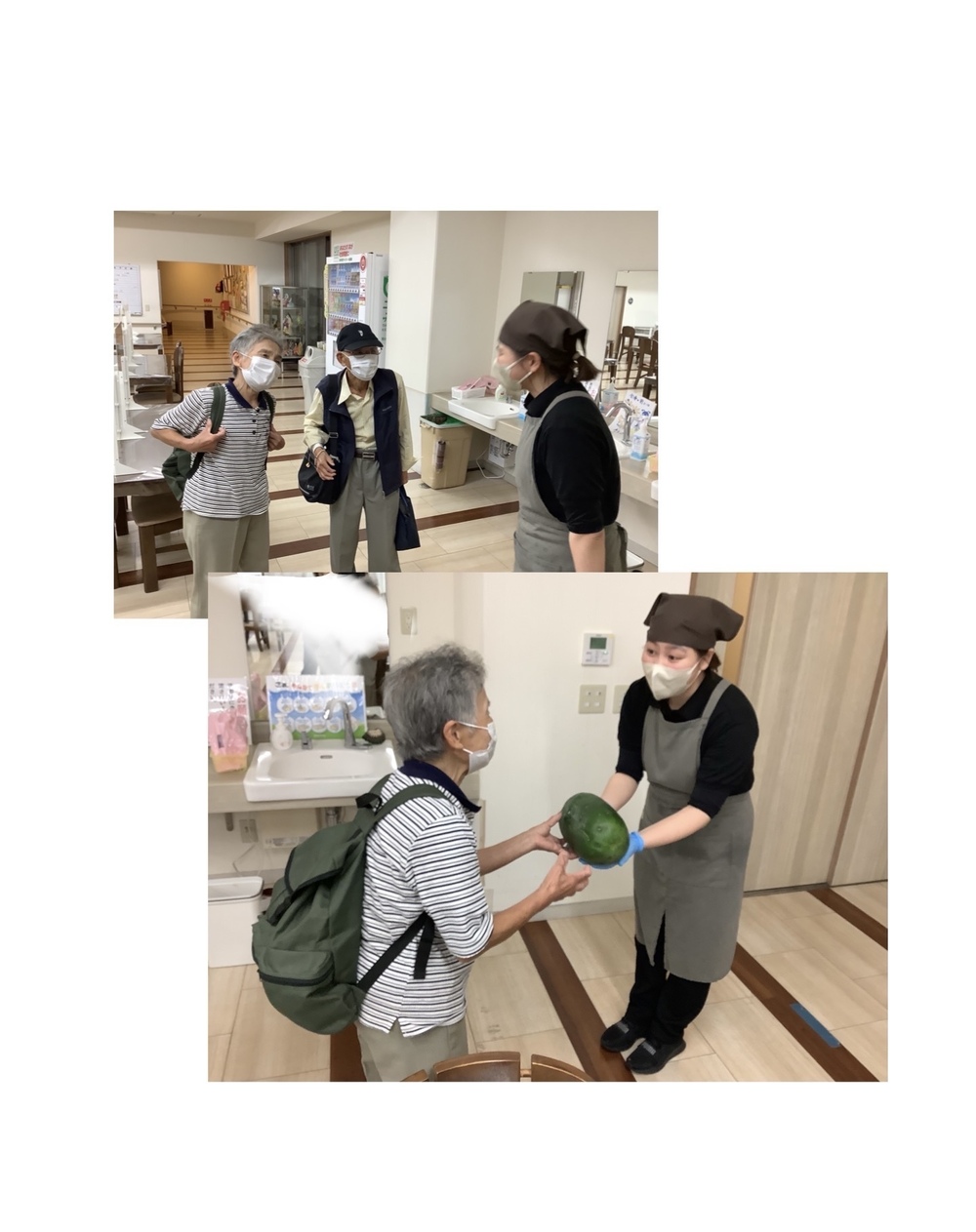 冬瓜