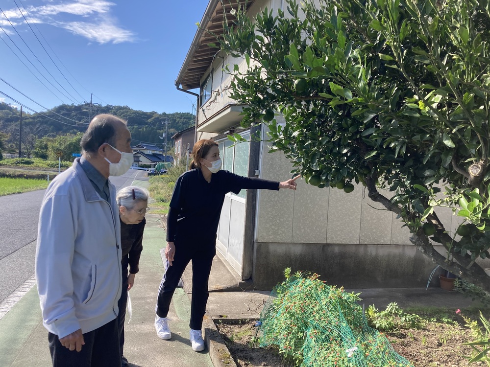 散歩中