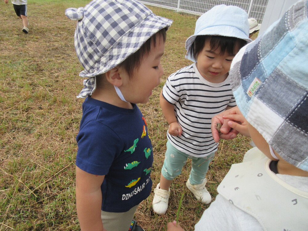 園庭で遊んでいる様子