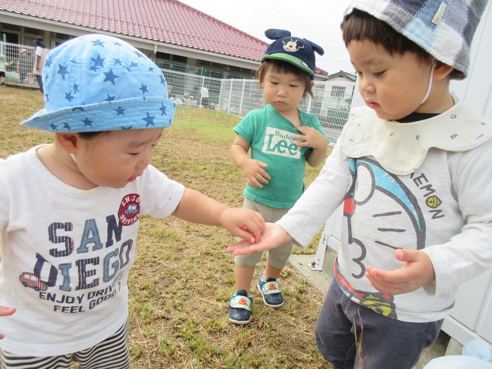 園庭で遊んでいる様子