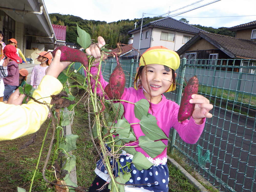 芋ほり