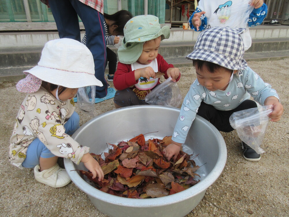落ち葉を袋に詰めている様子 (1)