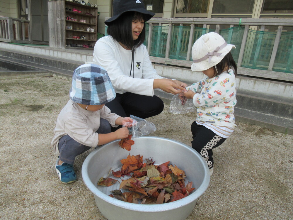 落ち葉を袋に詰めている様子 (2)