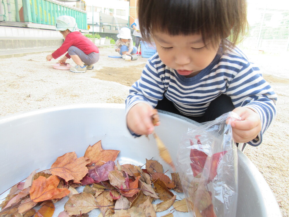 落ち葉を袋に詰めている様子 (4)